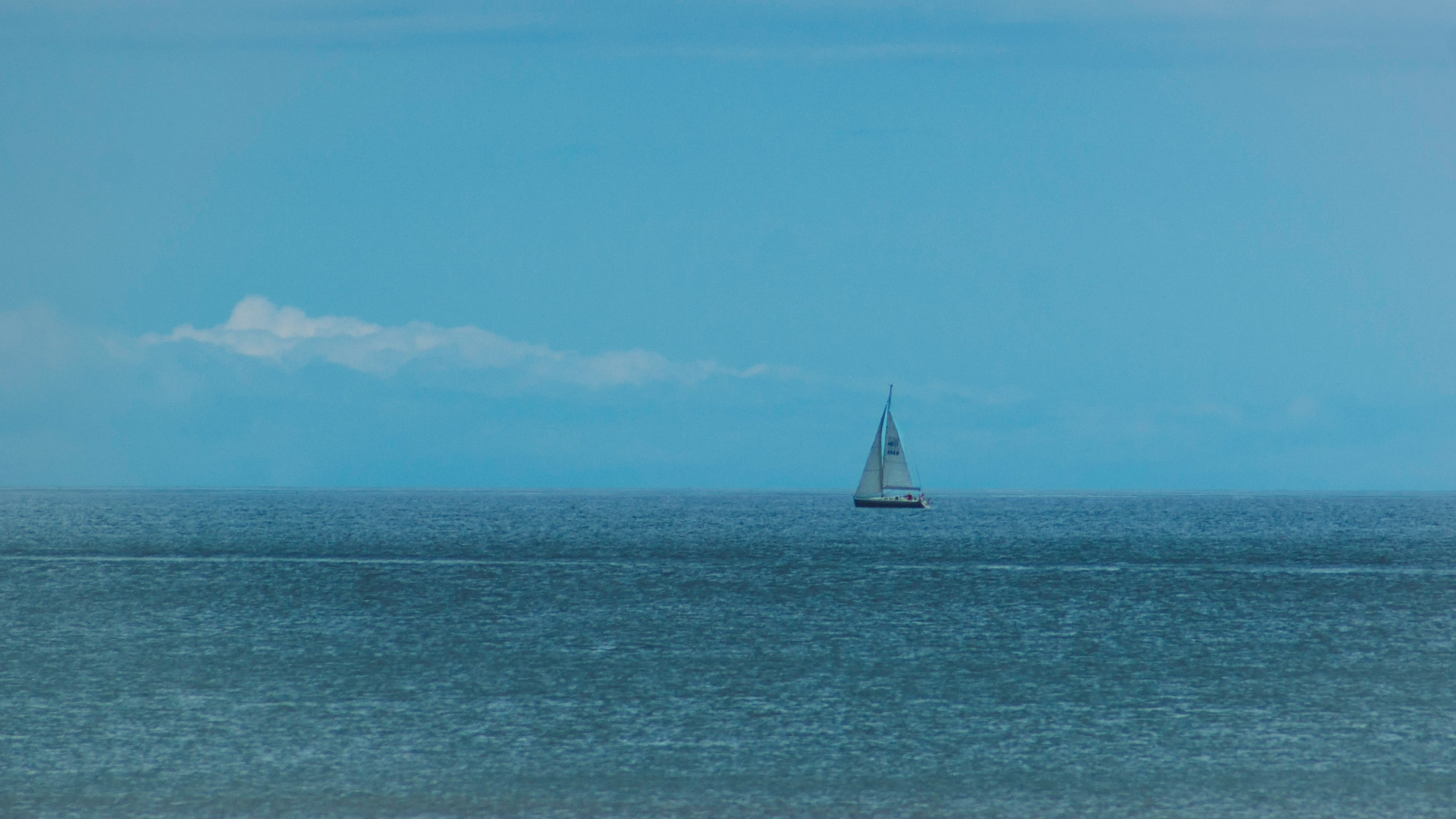 white and black sailboat out at sea